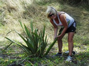 Dearne Collection Flax