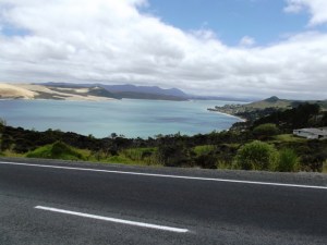 Hokianga