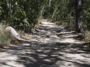 On the track to Trevethan Falls