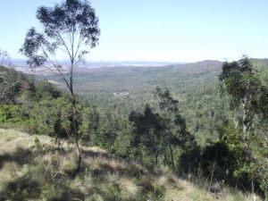 Our View from  Pine Lookout, Bunya Mountain