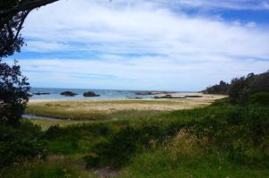 Mystery Bay - Tree framed