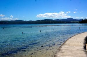Oyster Farm on Boardwalk2