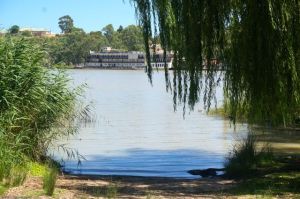 Mannum from our campsite at Bolto Reservce