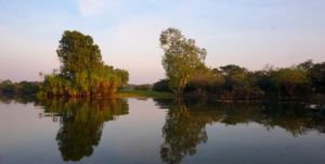 Yellow Waters Billabong