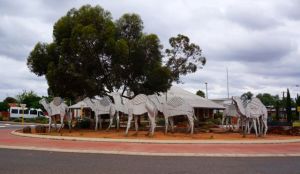 A Camel train sculpture in recognition of camels and their input into the growth of the Norseman Region in the 1800's