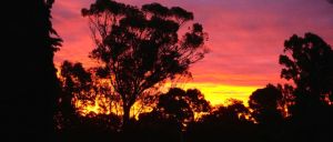 A stunning smoke assisted sunset from our parkup at the Tatura Country and Golf Club