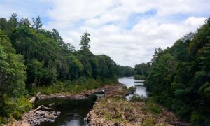 Crossing the Rapid River during our South Arthur Forest drive