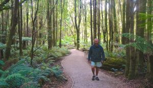 Rod strolling through the rainforest at Nelson Falls - a peaceful environment